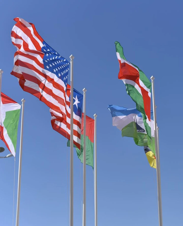 International flags