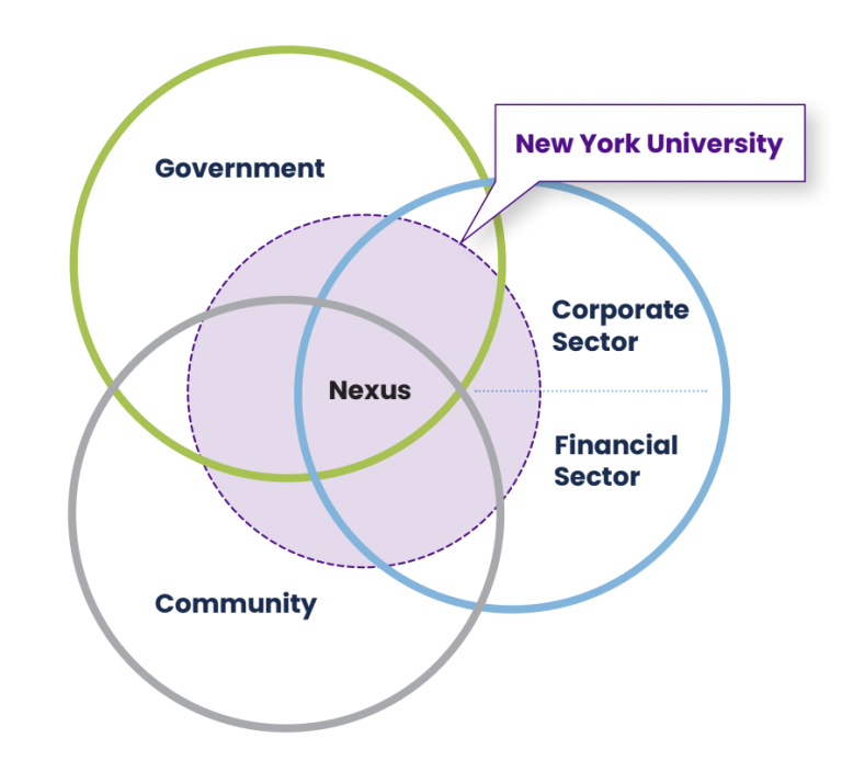 Venn diagram of community, government, and private sector with NYU in the middle
