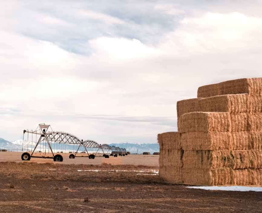 hay stacks on a field