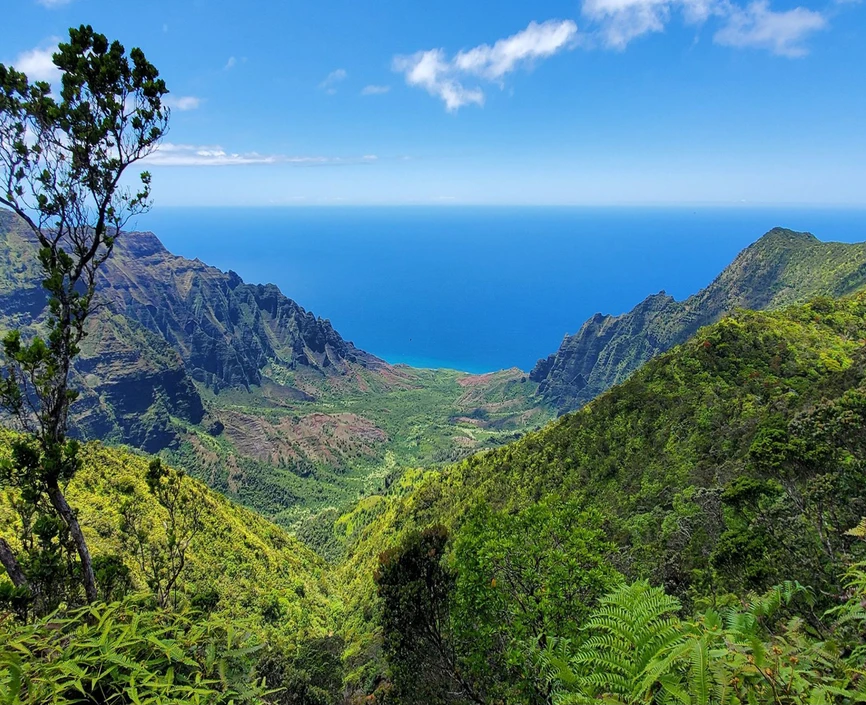 SAW: USA Hawaii image of Hawaii mountains with ocean in background