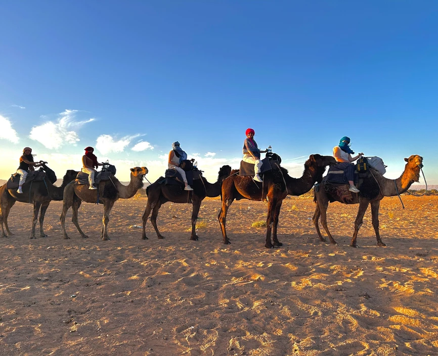 Students on camels 