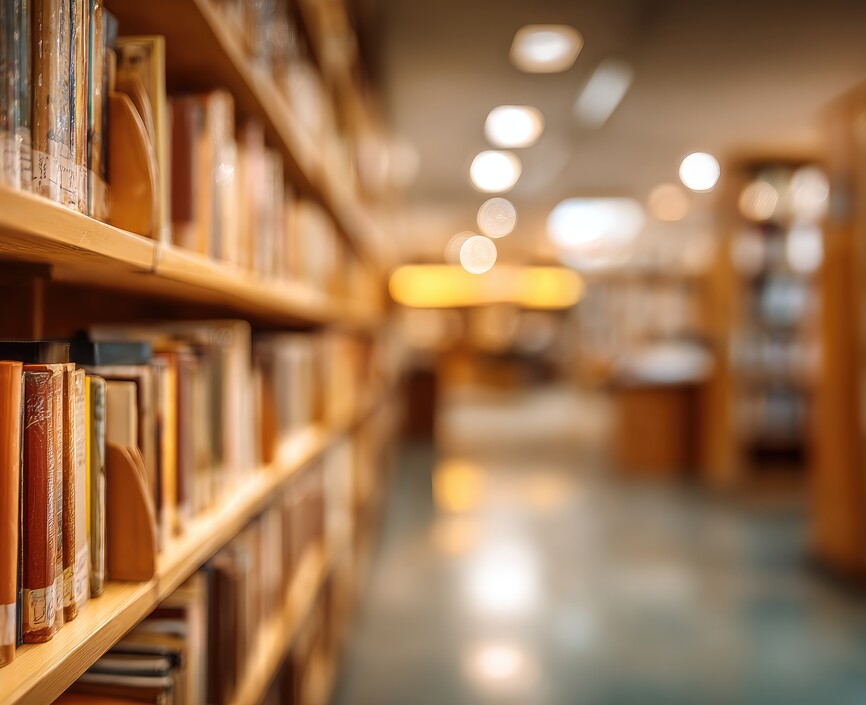 Library Bookshelves