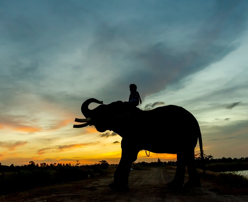 Msn sitting on an elephant at sunset