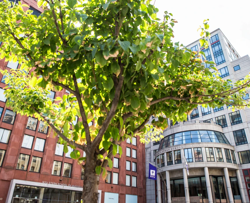 NYU Stern Gould Plaza