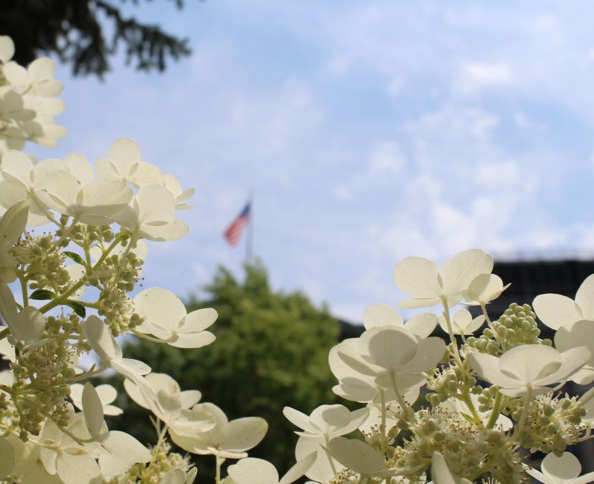 American Flag in blurred focus with flowers in foreground