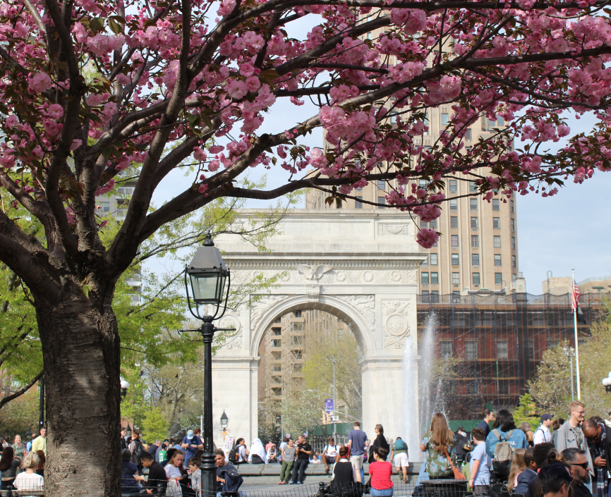 Washington Square Park in summer