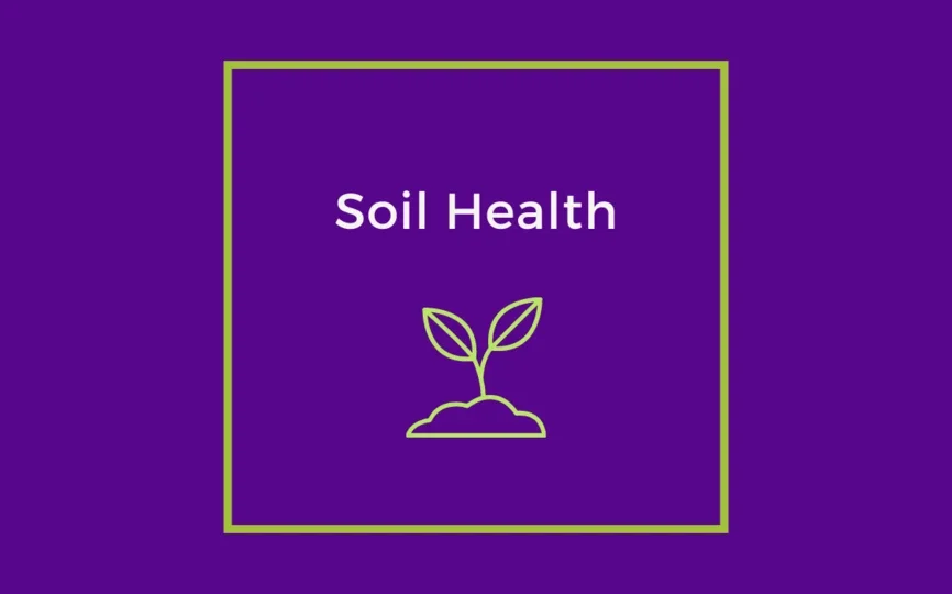 Soil Health