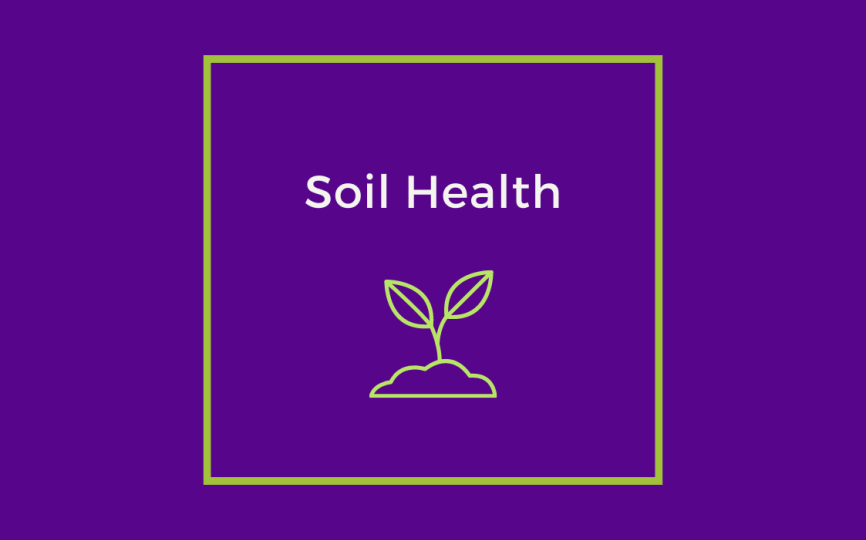 Soil Health