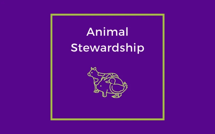 Animal Stewardship.png