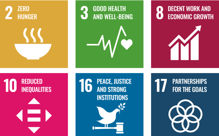 UN SDGs 2 3 8 10 16 17