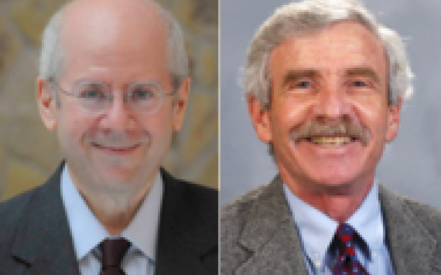 Headshots of professors Kim Schoenholtz and Lawrence White