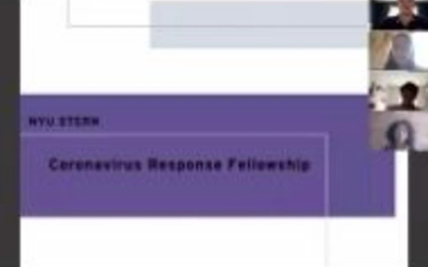 Stern Coronavirus Response Fellowship