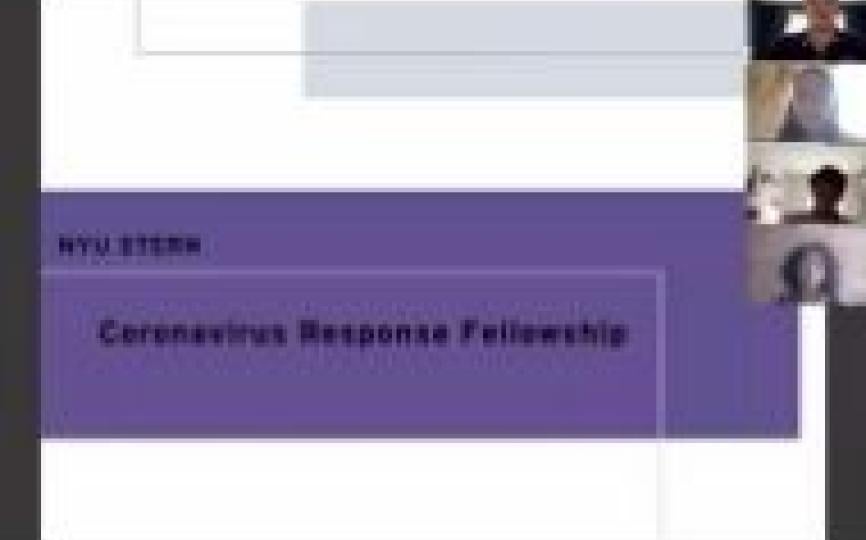 Stern Coronavirus Response Fellowship