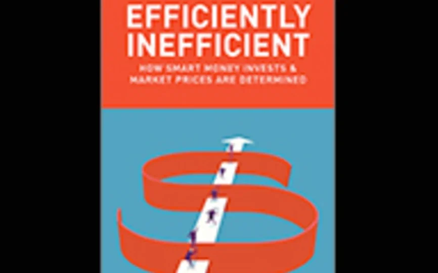 Cover of Efficiently Inefficient