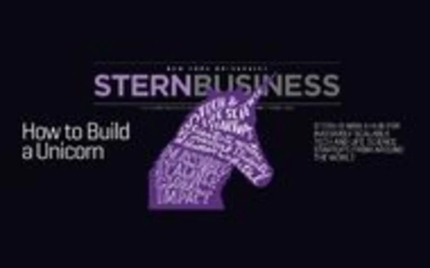 cover of Stern Business magazine with graphic unicorn