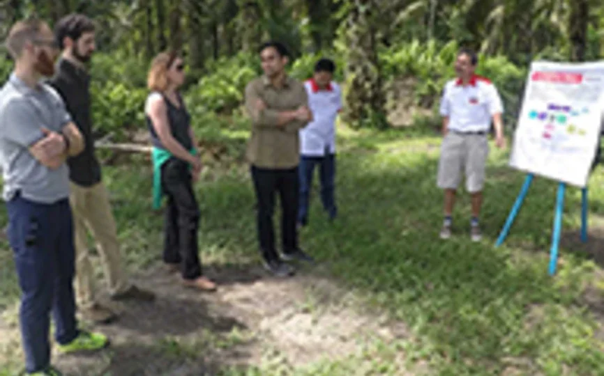  Stern Signature Project in Indonesia