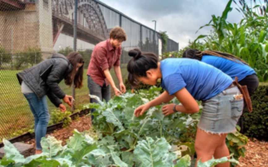 People planting in an urban garden