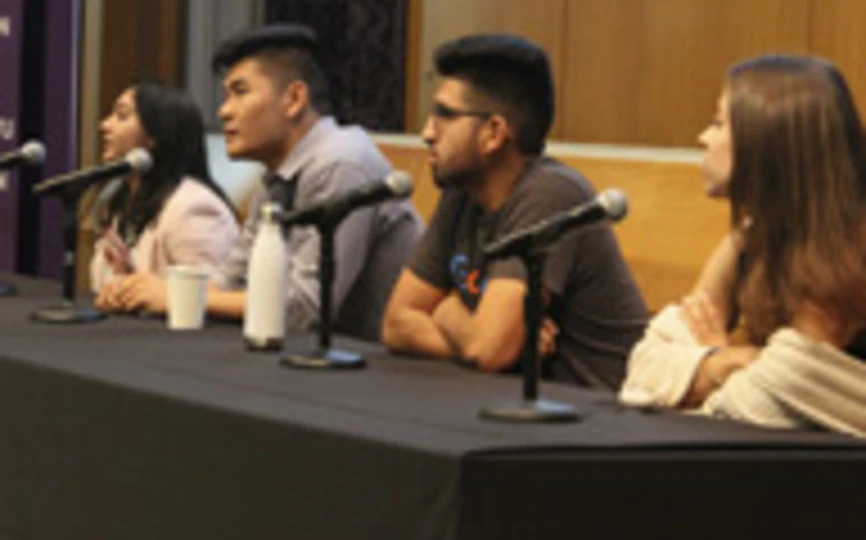 Peer mentors