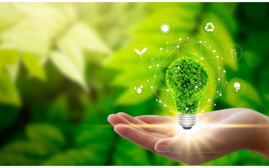 Sustainability Executive Courses