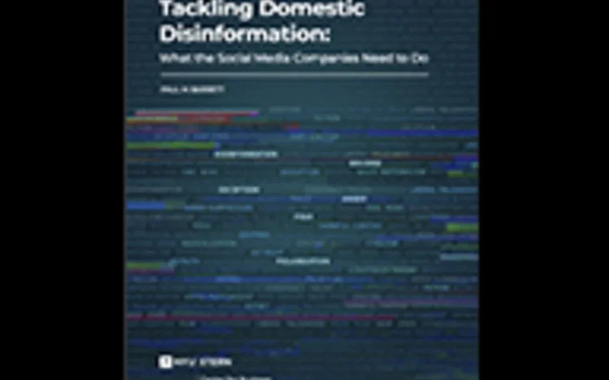 Tackling Domestic Disinformation