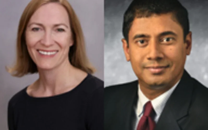 Laura Veldkamp and Vaidyanathan Venkateswaran