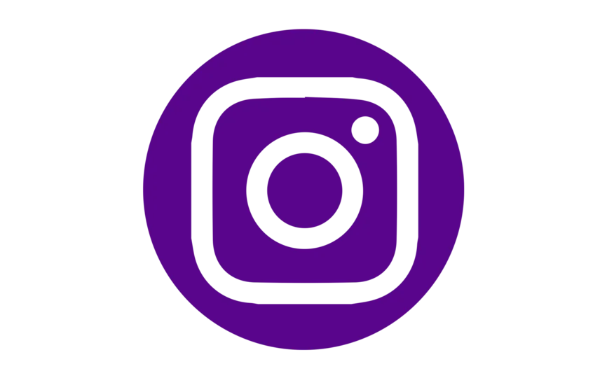 NYU Stern Alumni Instagram Icon