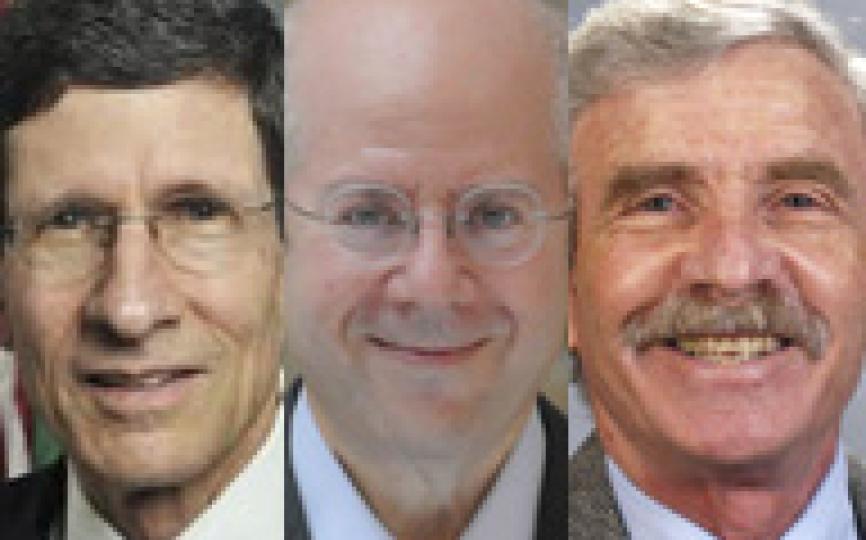 Richard Berner, Kim Schoenholtz, Lawrence White