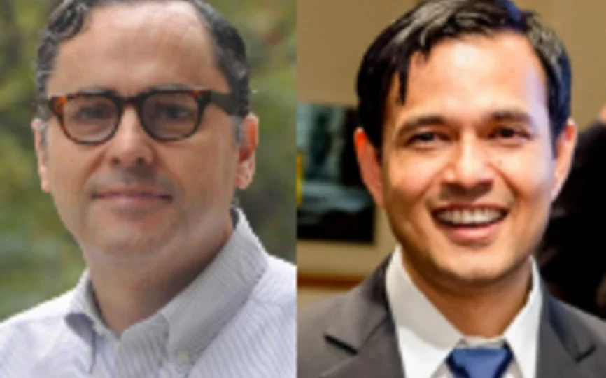 Luis Cabral and Deepak Hegde