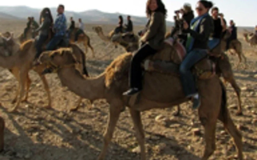 Doing Business in ... Program