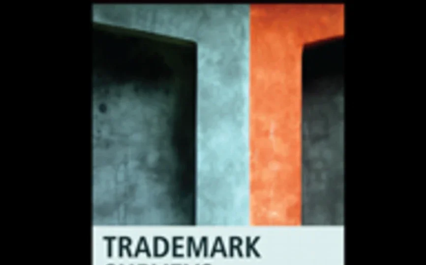 Trademark Surveys