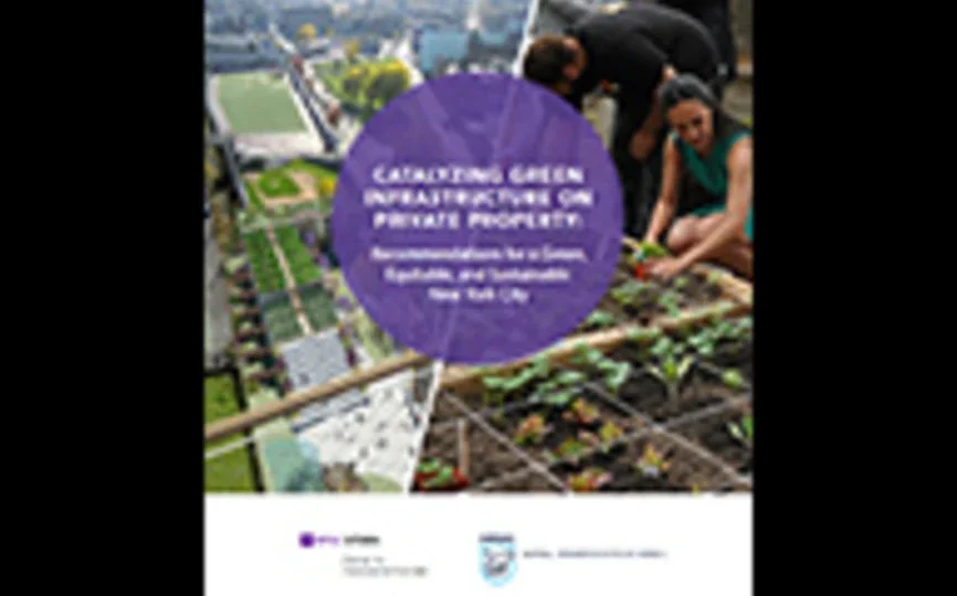 NYU Stern Center for Sustainable Business