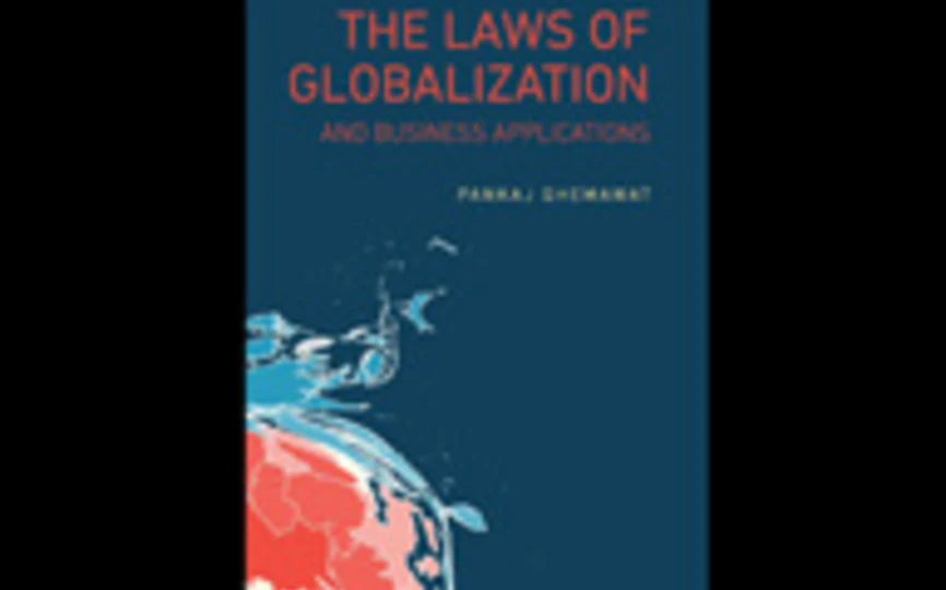 Cover of The Laws of Globalization and Business Applications