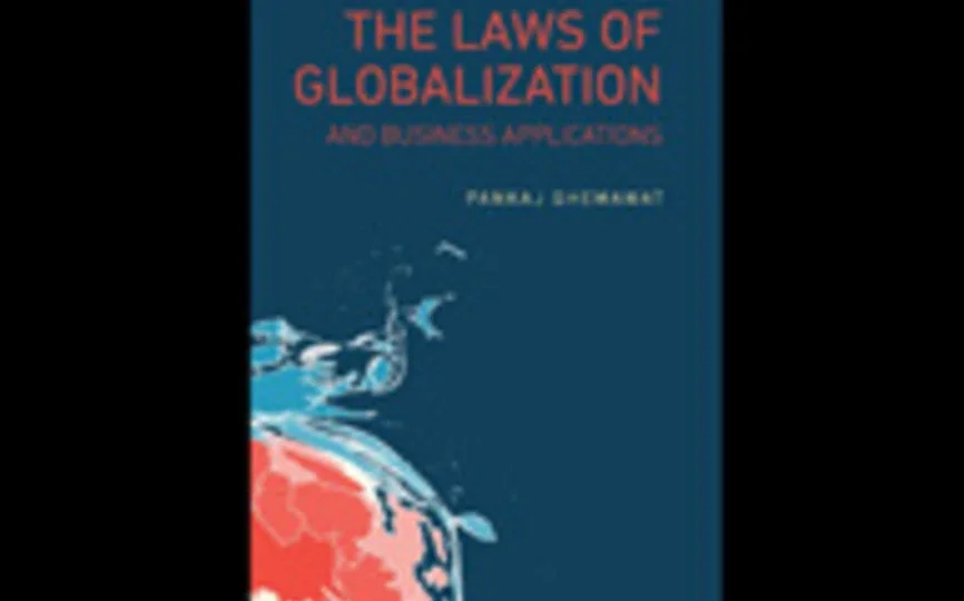 Cover of The Laws of Globalization and Business Applications