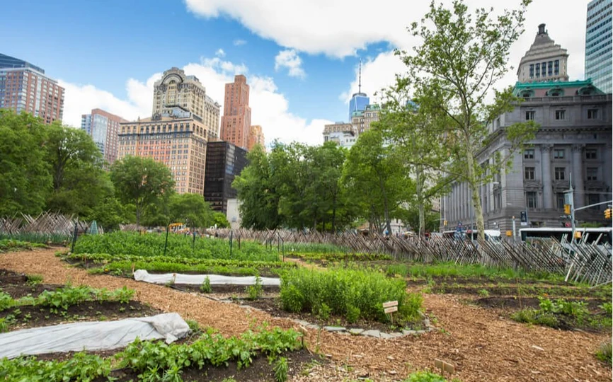 urban farm