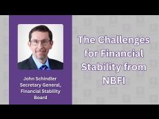 The Challenges for Financial Stability from NBFI