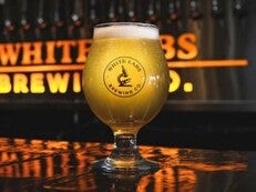 white labs brewing logo on glass