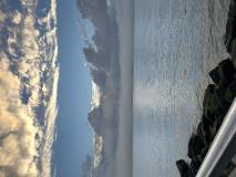 Test D7 Basic Page Body Image