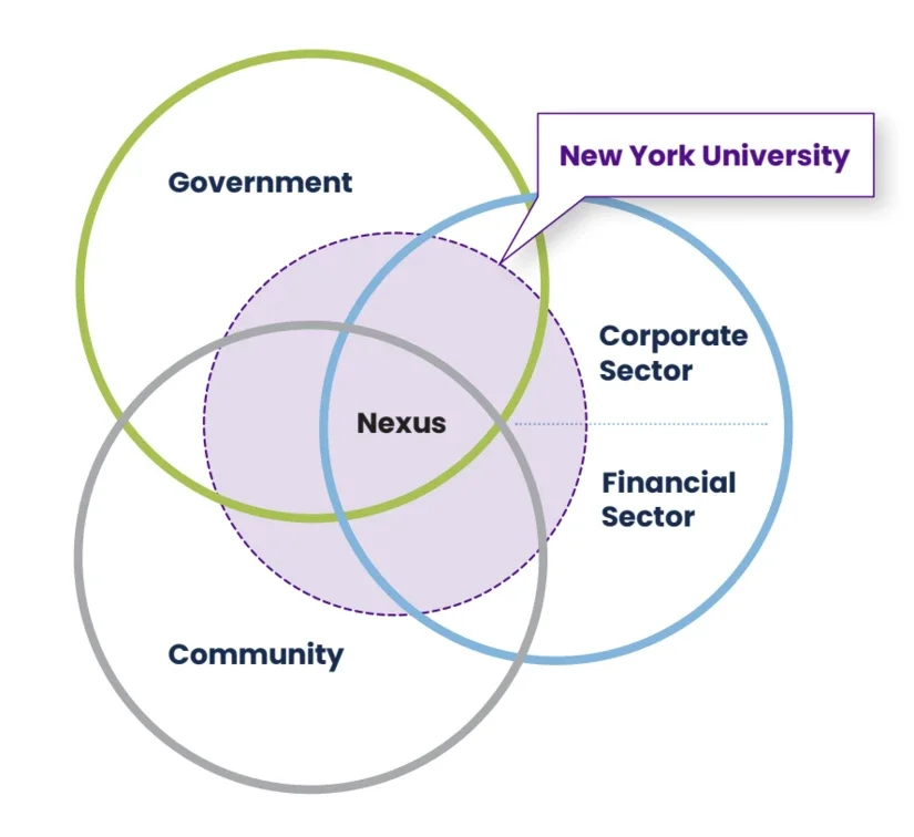 Venn diagram of community, government, and private sector with NYU in the middle