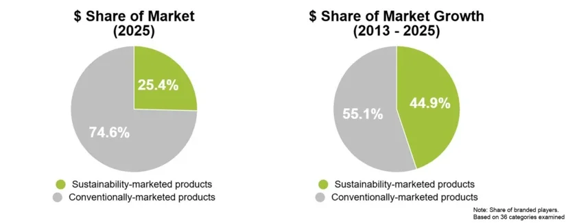 SMSI Market Share and Growth