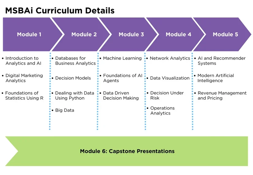 MSBAi Curriculum