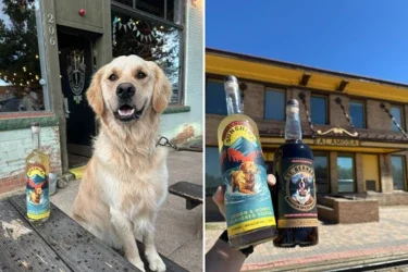 St. Bernard Mountain Whiskey and Rocky Mountain Sunshine