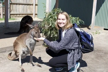 Female student is kneeling on the ground, hand-feeding a baby kangaroo