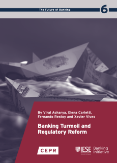 The cover of Banking Turmoil and Regulatory Reform