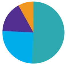 Allocations of the Stern Fund in 2025: Scholarships: 51%; Centers & Faculty Research: 25%; Student Experience: 16%; Alumni Engagement: 8%